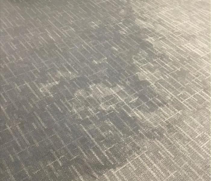 water on hardwood floor