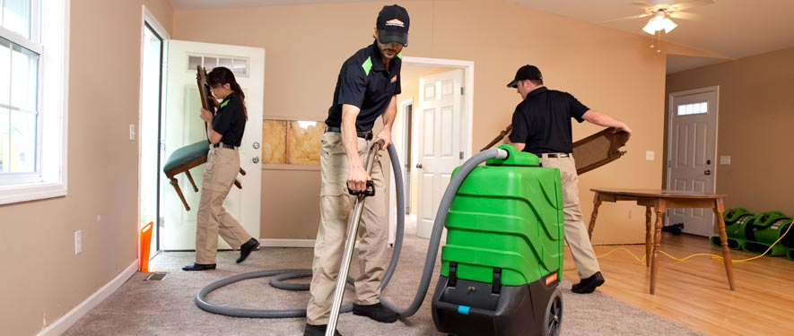 Rochester, MN cleaning services